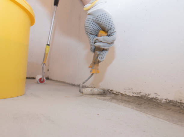 Best Fumigation Services  in Bremen, IN